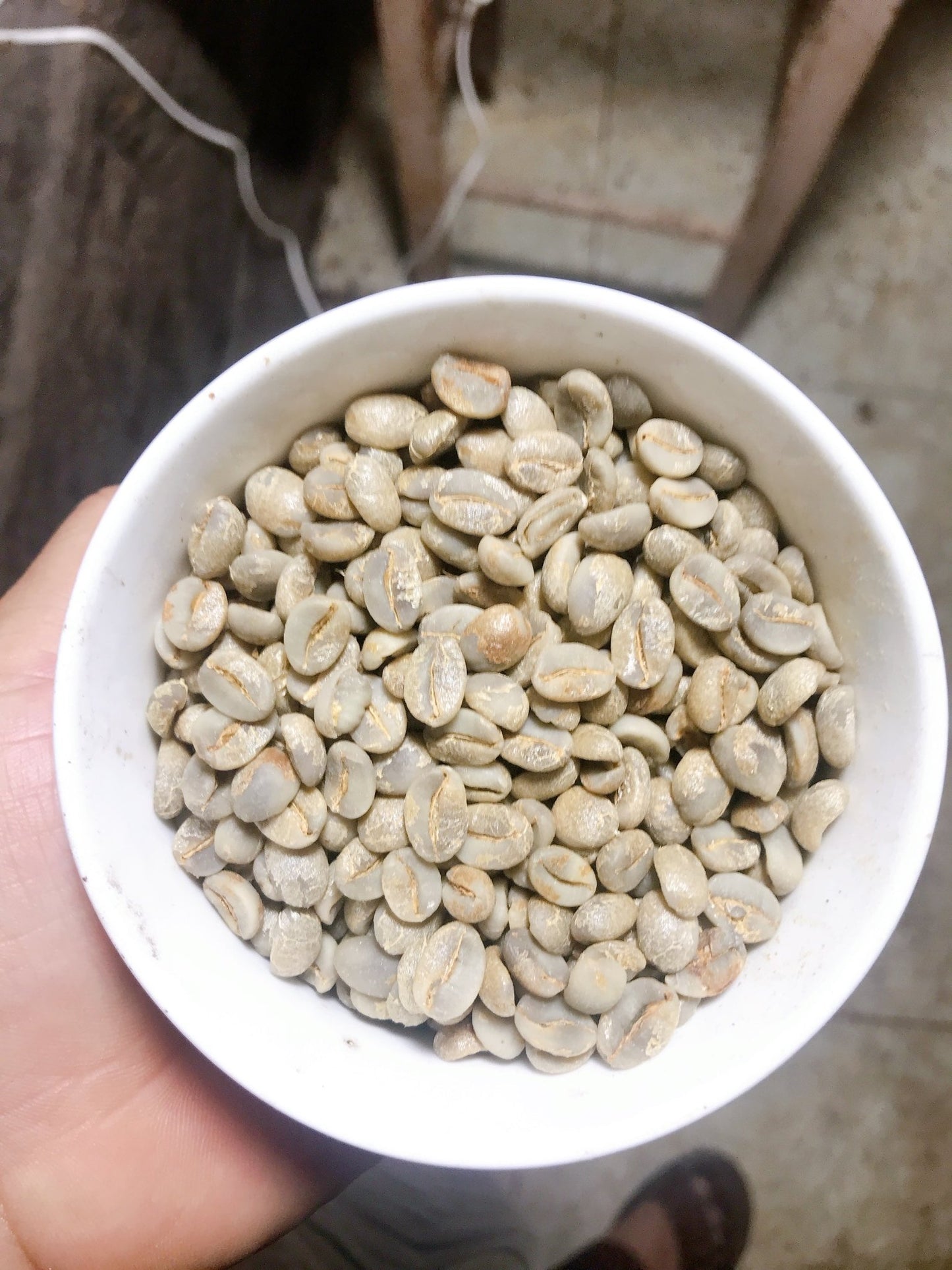 Arabica Dakbukso sơ chế ướt - Dakbukso Coffee Roasters